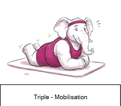 Triple Sanus 1-E1: Mobilisation & Dehnung