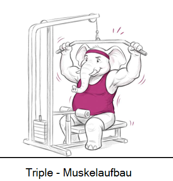 Triple Sanus 1-E1: Muskelaufbau – stark in jedem Alter! Block3 Mo